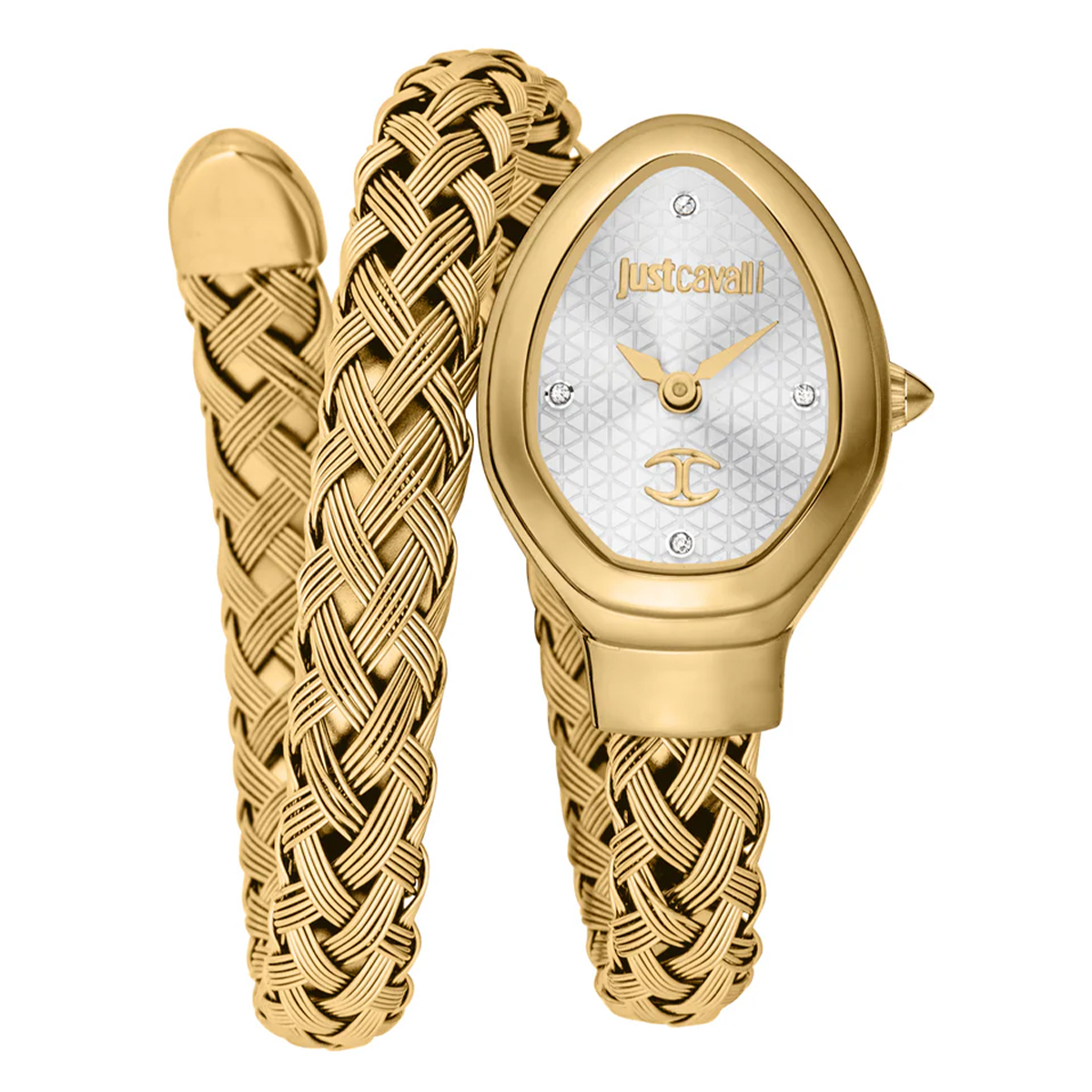 MONTRE JUST CAVALI FEMME ACIER